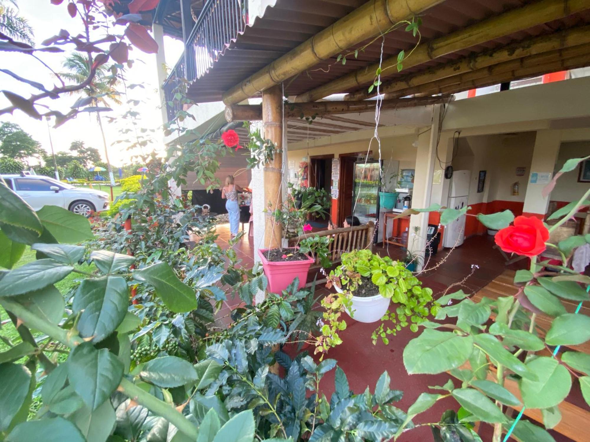 Finca Hotel Los Cocos Montenegro Exterior foto